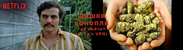 ГАЛЛЮЦИНОГЕННЫЕ ГРИБЫ Инта