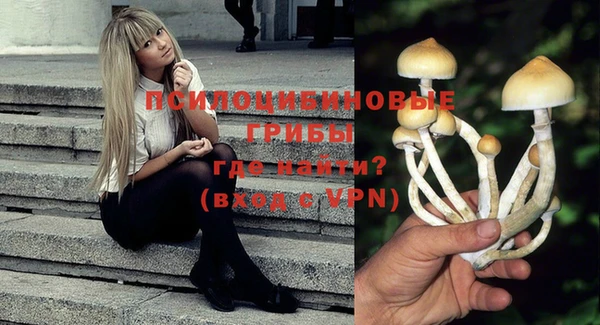 ГАЛЛЮЦИНОГЕННЫЕ ГРИБЫ Инта