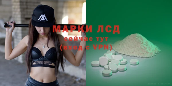 ГАЛЛЮЦИНОГЕННЫЕ ГРИБЫ Инта