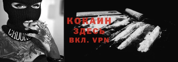 ГАЛЛЮЦИНОГЕННЫЕ ГРИБЫ Инта