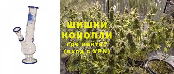 ГАЛЛЮЦИНОГЕННЫЕ ГРИБЫ Инта