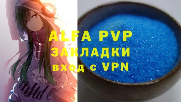 ГАЛЛЮЦИНОГЕННЫЕ ГРИБЫ Инта