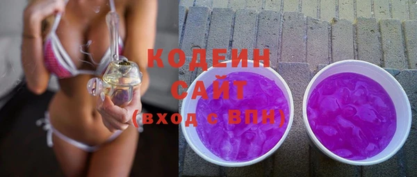 ГАЛЛЮЦИНОГЕННЫЕ ГРИБЫ Инта